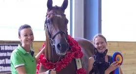 Sport Horse Nationals '21 - Friday 9/17