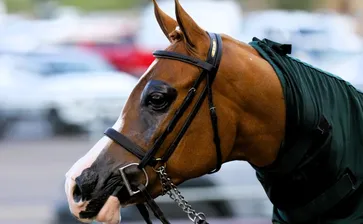 Scottsdale 2026 - Tuesday 2/17