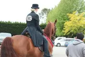 b2efac417247773bde31e1aebe3a15829ad1cc9b72b41f780db882306157430e_1_IzAwMDgwMF8xMDA=.JPG