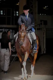 9cc778943e41fa3910b8d86345e24b30983d2f9a3a8544882495af6c62cf9767.jpg