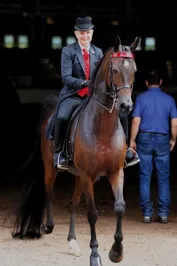 19137cc6f5a8a95b293e2dd874cdf53beb4d6c2feb7d04c15e86c0c14ae536d5.jpg