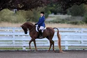 038bcf5257e1254a86b2ac32ba21ea52523969ec366ecb20d6f5495a0c0ff465.jpg