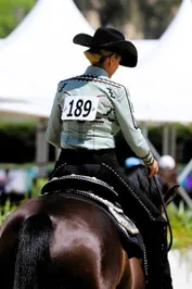 4804c895869f07b0dff05b6462863d9f3abb6de8677ddb588068b566970377f9.jpg