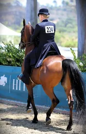 b28a674c0055f85a7021475cb1241c27284fdc4345f196b9e156fde4795fad95.jpg