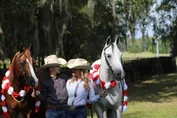 794f753ed935a9ee4bc49e980e792c19397052c3b54e655c03fe02997f627ddc.jpg