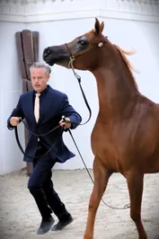 c28e872f22d85dd27c7707b626c8e5b416ed7c76059ab6b6b04a4e9495f96227.jpg