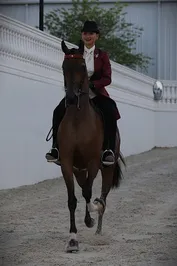 e20e2cf2e1620526e3b0aec3bcd15d072818fbd96de5775233029cfa1c7404da.jpg