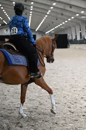 56b90291de859ad92520181ebbca034c3aa7e7604255b6e232cd50dbcde10d6c.jpg
