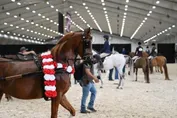 8eb7a7c3279b798cd86acb831bc0e58bd9f3ca198f5e10b65142d1e8f49c08f7.jpg