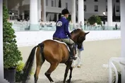 9487991019670b743f10fa664a333b0b1ff21afda70758d80ec52d43120e7044.jpg