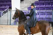 c72b0064a51b7cde775d096e071bd74a4023d7442c82a1837f2be9948f6be4e4.jpg