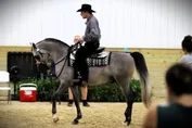 83627ff454a58aa85eeb20ece37328be60358bf469e856ca901ac71820c19dd3.jpg