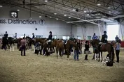 2cf7db2bab5f83ac5261fd51b42516940ceacddb1f7ab1e541e1c54958ce2796.jpg