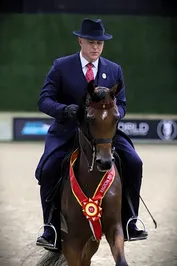 d3134c594550982e9b78216984f9b6883b3b83b8cc071e0f577495eef479a6ea.jpg