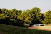 3e073af0fd2096e060a1b674f026a11a176b7269fd67ba60fc4ab56ae4ab80fa.jpg