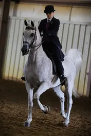 2a7d844397bab6b01a0722bc49b943946b763f66f1cad13d488043f1202a36c4.jpg