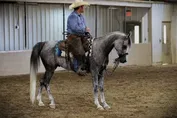 738ae4a9c5e77896011e6e494fd1c51b4ec7e5dd8e68d7f5a29180251207d226.jpg