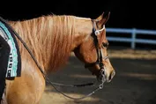 abdd44c089399e036f9fb3e6e10762d1b89ff79330247f7f9842dc08c9772e4e.jpg
