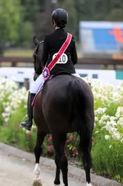 b7a803c48f78969052678084e75b221b4569b98f7827af100742e6fec93a1887.jpg