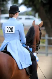 1d323478607c9dd35fae312560badc09e45f970a062fb9fe2f9584eec311b101.jpg