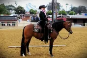81a44e74a7301443f81fb5e08f86342c2e11b969ecd0ca8f3de473ce65b5e288.jpg