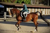 87eabb3571dc0d26e70bad7162cdcf134085823ad42e1e6125649a5f03a7465d.jpg