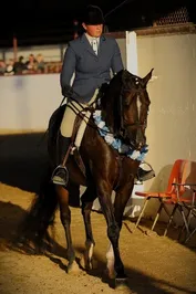 ebca7b274804f5b77b0225f1f57ae160f0ac5b04b3309eb3afce04672b43841c.jpg