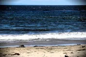 8aea893553dd339426bbe3b577abd31fbde6fbf42c3ac5e65ff66d225b5dadab.jpg