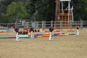 7cd3a2973dfc46f56f70644c1e3476e3a8a154a36702b138d8021857dc067afc.jpg