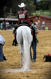 d4eddaf16037fb514ad6eb3c72ccdc25f709e44924e1d044f2fb59ac321ac2ee.jpg