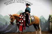 65361f07005b11ecd86384d30843200cc944aca595fc0bd4d4ba9e85c91af2ab.jpg