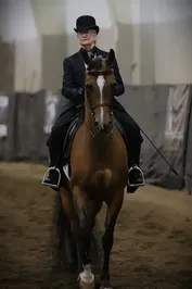 92210789f3b680669cdd84941c09428ccc713bc3301ca2821e78c27ccaf496e0.jpg