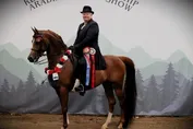 a31beea984f69e75ee7b84c42efa2efa59ac1e8a7ca7b252d354456d8eb3aa72.jpg
