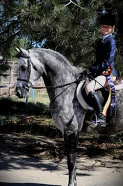 e432d098523c8a544e6f90e76e1ddcc39f309f0211a2a7e900d529fc1f6dbe62.jpg