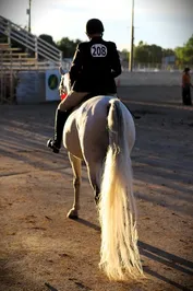 f9253bbc0619057a59f71bf9993be75fe5681cf0fb0237bd1d2d6e2924e7a970.jpg
