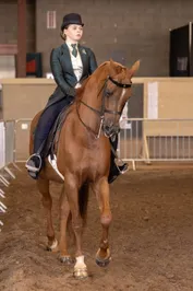 bc111093db28713790e43835a555a2793e51233672f12dfd9c54e432f19adb2d.jpg