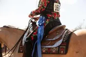 a5dd208824c1ef1ad5dd9da322f44502536e290b0319bd9af61ebdb5c047482e_1_IzAwMDgwMF8xMDA=.jpg