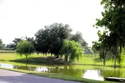 6dde9da5f11968320a86e9dd2060ad088daad4e7e75350947dd53af459bd3089.jpg
