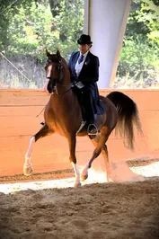 e96b296efba572ac64beae34c3335d929a905b53a1274524ac374613dd2c1573.jpg