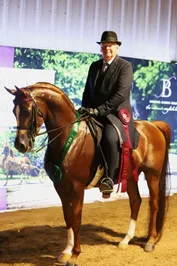 2c989f00fd07aeab41183868ef662c65b251ab0c725184c9148adda12b10d5ff.jpg