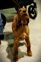 b0bc7c11256d0e7ea9ebbc1e4a7f77668f1b2f80136fbb18ef4d4884a8005992.jpg