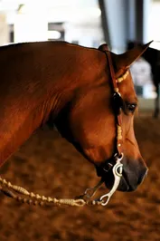 01d15b1da273f0c561bbc557f9ed998b9447d69e87e7510af99dfc67cf0ac905.jpg