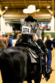 07f28c98fffc2591b5ac4e1b032de910236e675ea23ddd35895c10083303d894.jpg