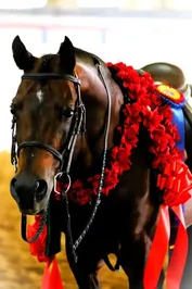 33405fec7c5bf97bcec7a18e59e1d1960f3587afbe6ff9aed7609b03172eadd7.jpg