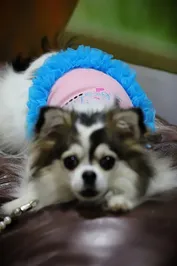 5c5f11fb406cdf7f9f552fe54100b836e2b1c51edb7e74c0816efeb2d79c5f2d.jpg