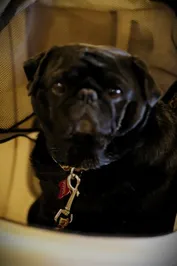 1253396519897e23f661ae556d9a2c0a189d508ffefc8cfeb1cafe84406ac9c6.jpg