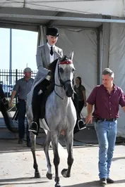 bc14ebcae5974518c71195f320f1e29fd3fbae978e364255d9d8186ac42d063b.jpg